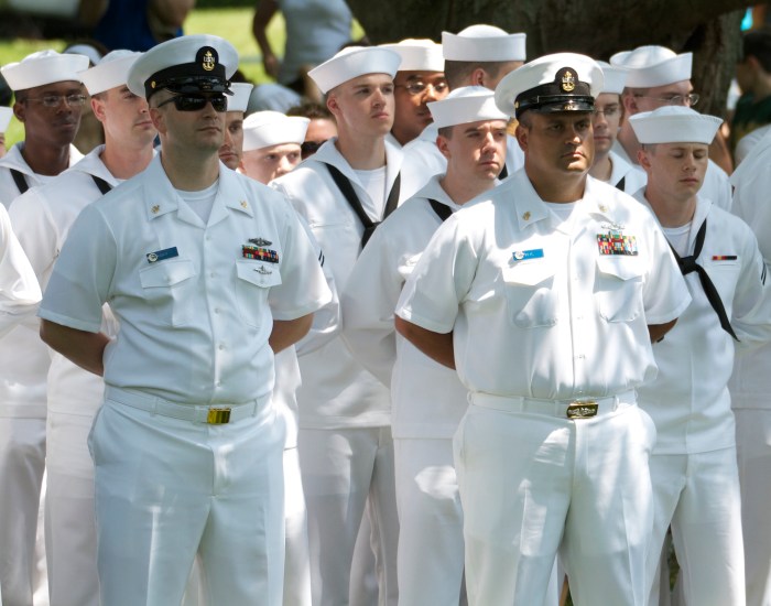Navy Salute