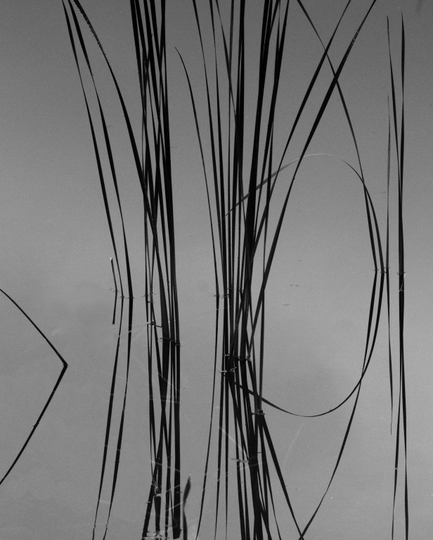 Pond Reflections in Vermont