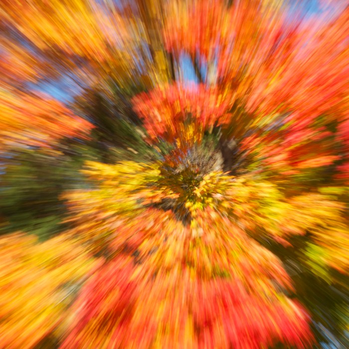 Burst of Fall Colors
