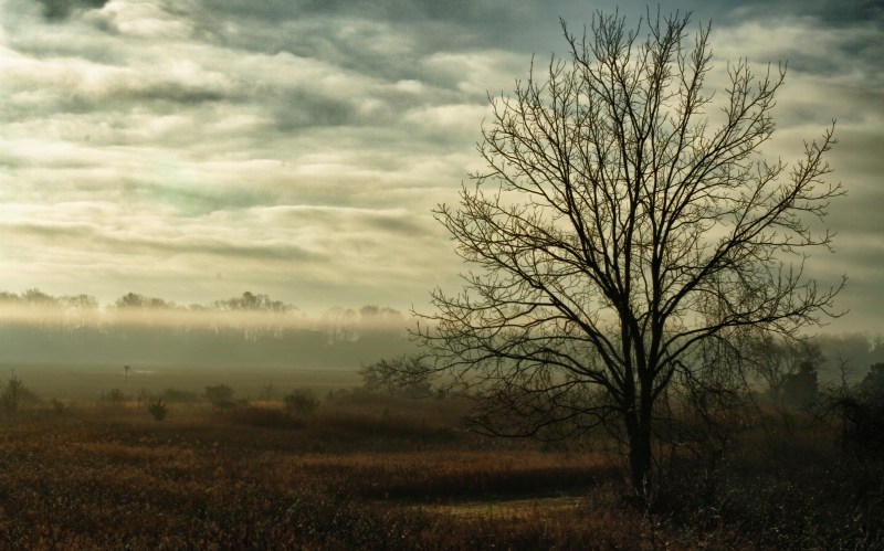 Sunrise over meadow in CT