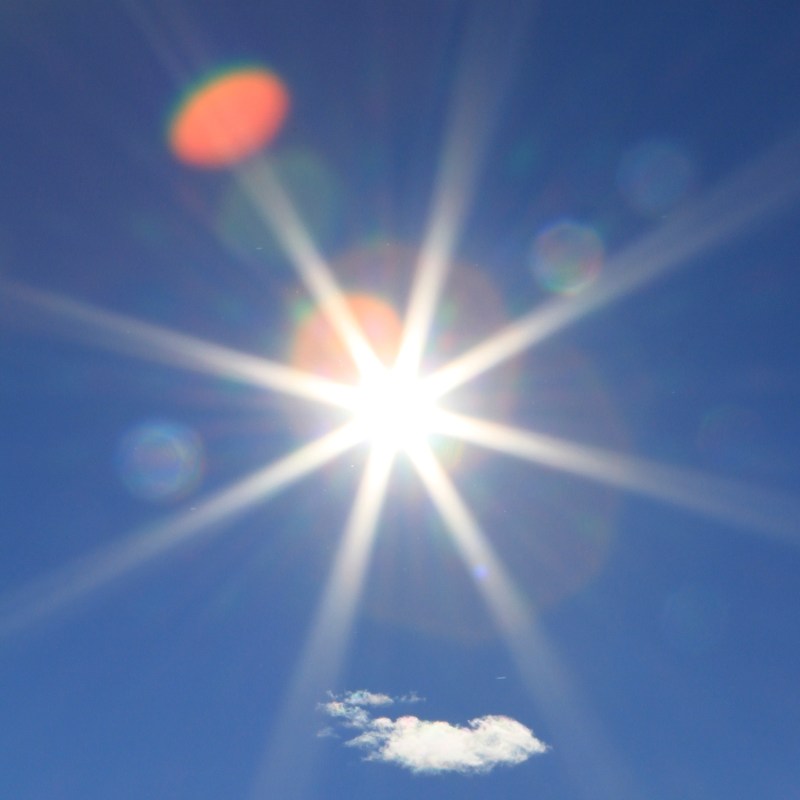 Winter Sun Winter Sun