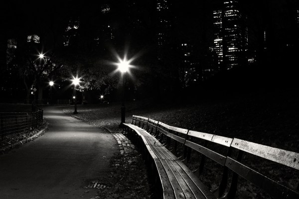 Park bench in Central Park