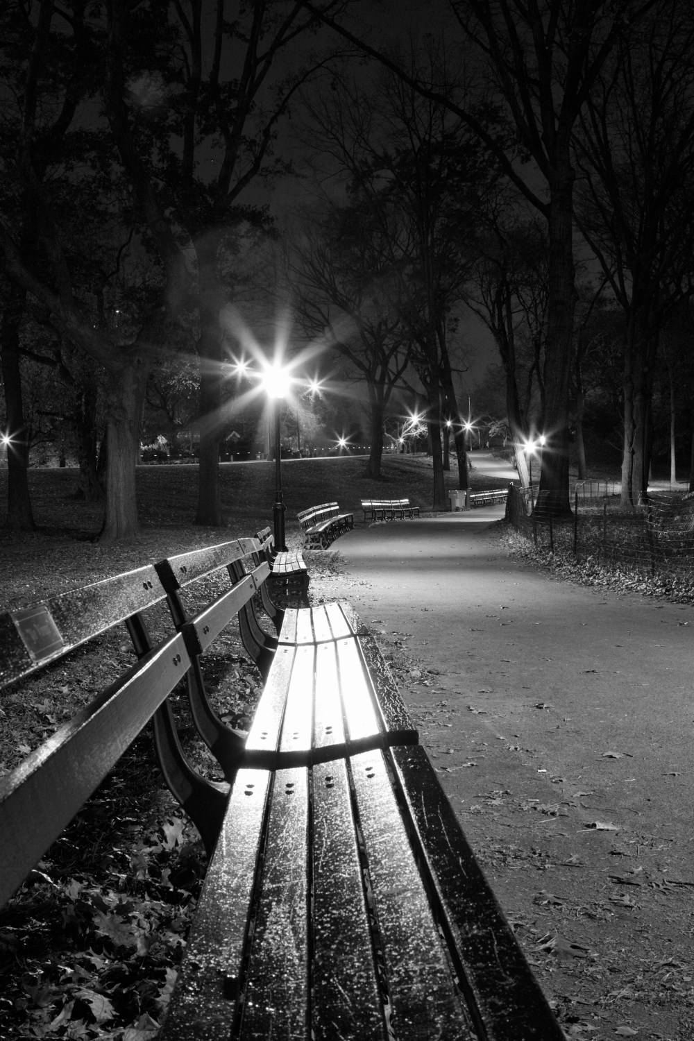 Central Park bench