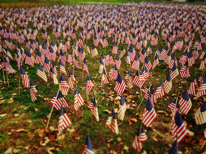 US flags covering a lawn in Branford, CT