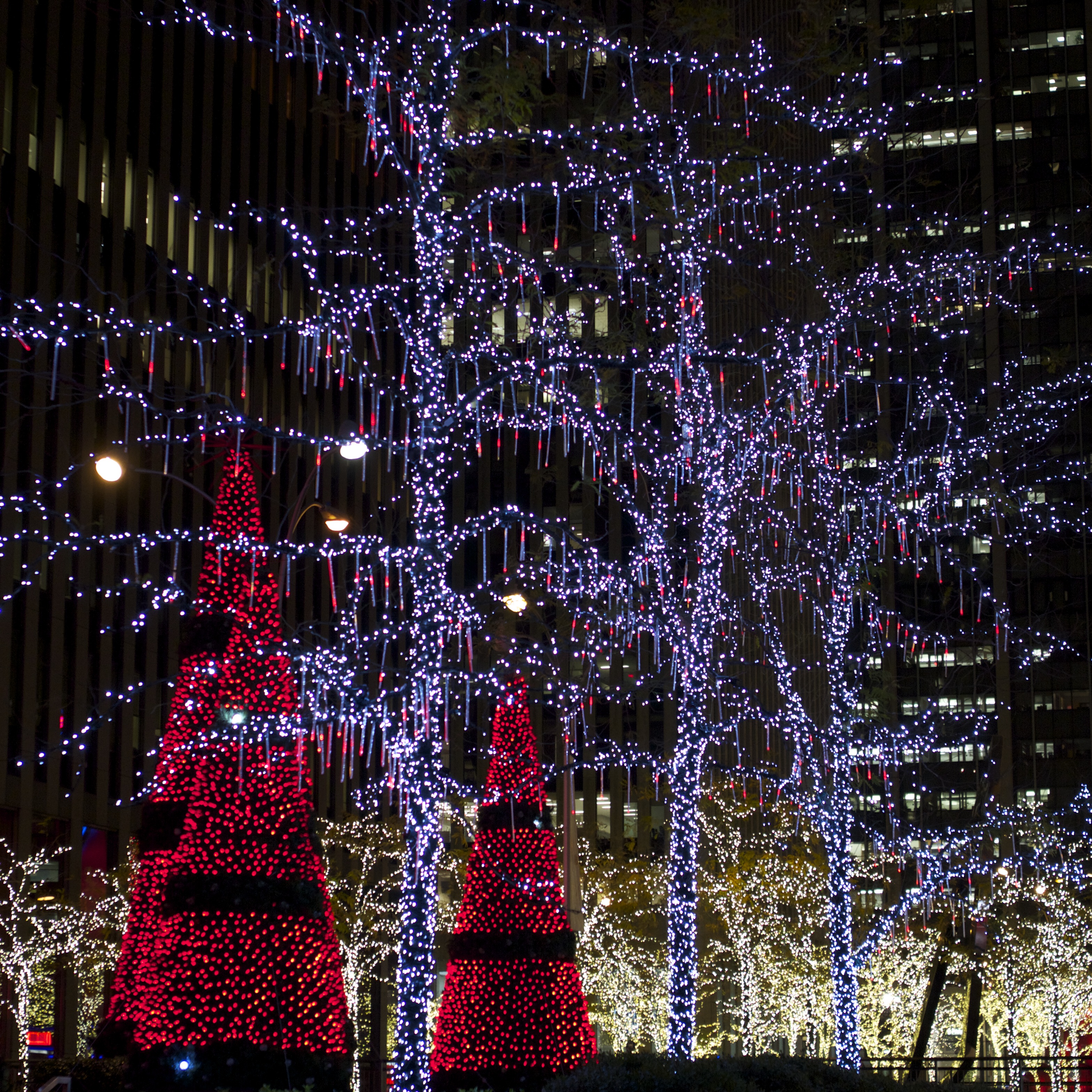 Holiday Decorations in New York