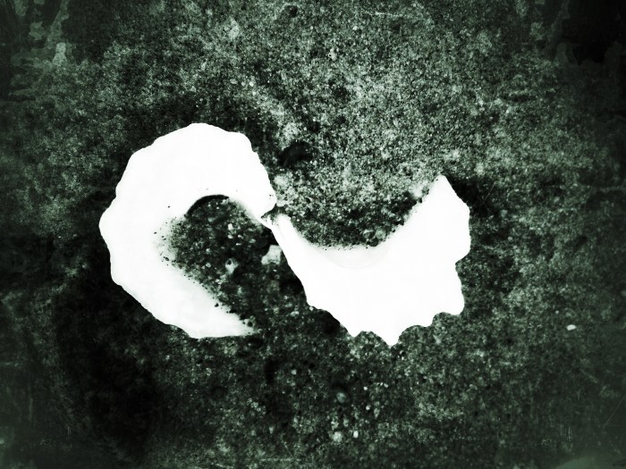 Shell buried in sand