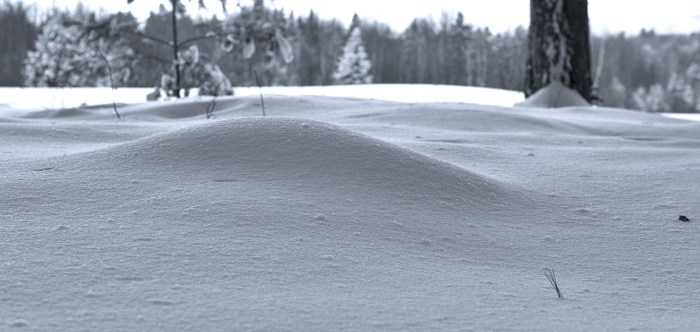 Snow close-up
