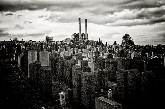 New York Cemetery