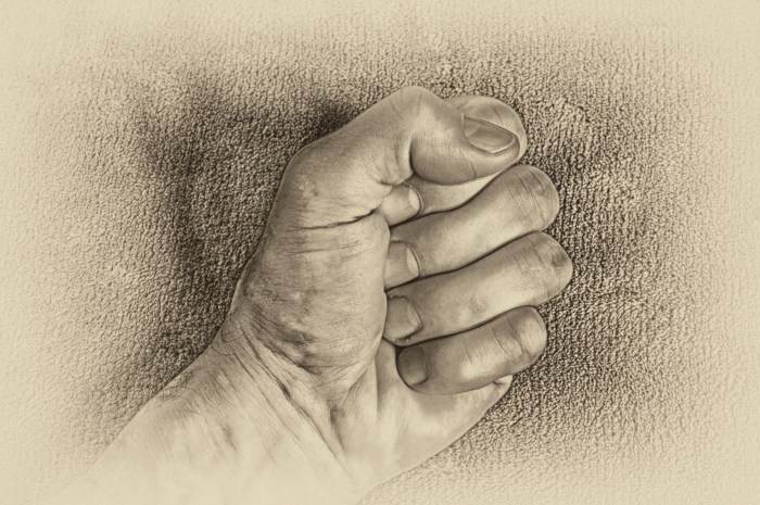 Fist Study