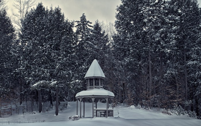 Snow covered Gazebo in Vermont Forest