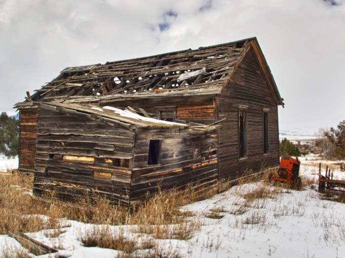 Abandoned Shed