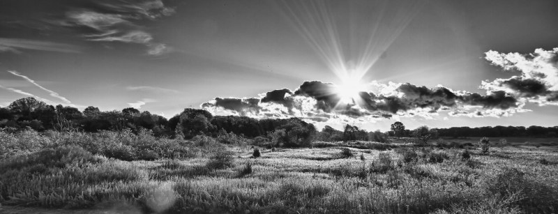 Blackandwhite sunrise