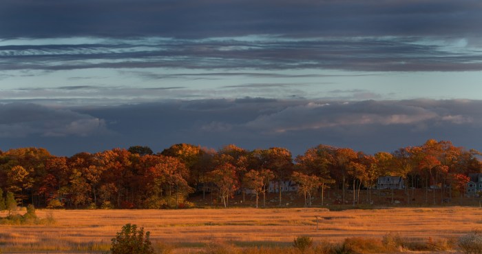 Sunset over the marsh