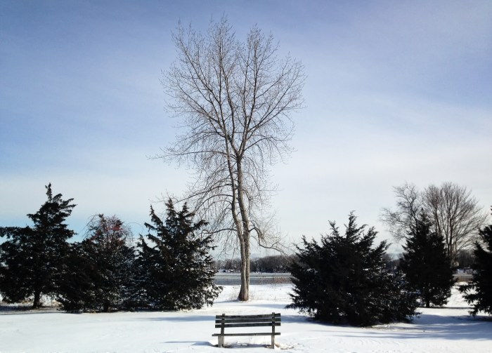 Clinton Beach bench in winter.