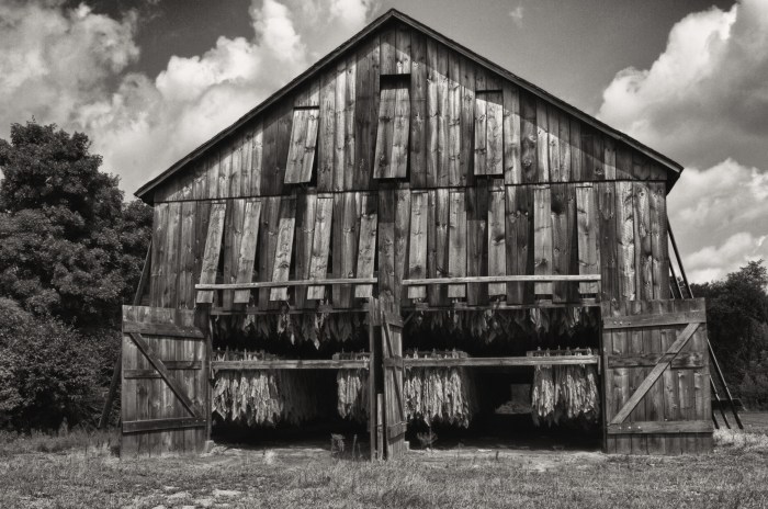Tobacco Barn Front