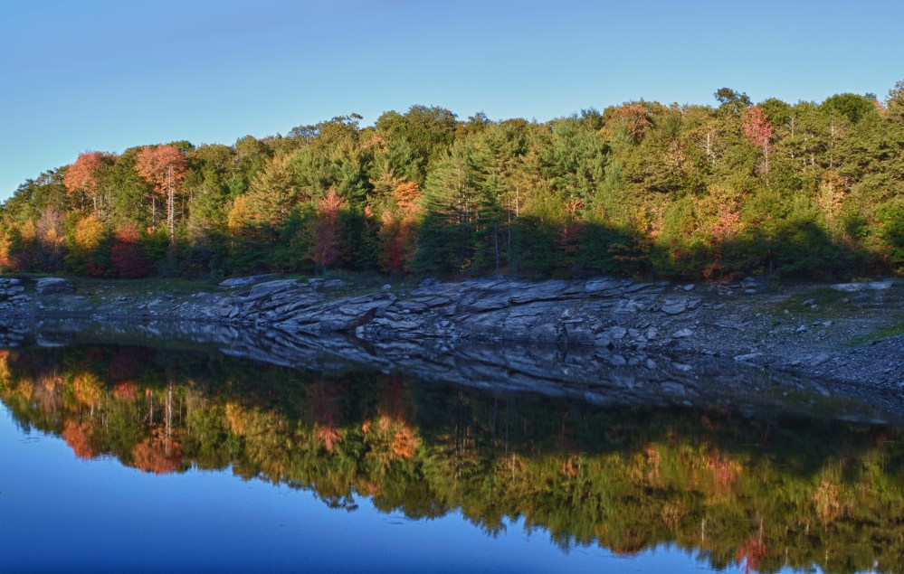fall foliage over water