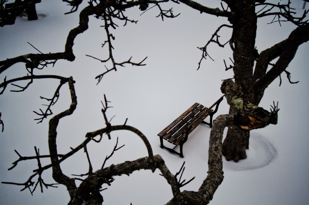 Bench under apple tree in the snow