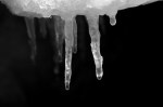 icicle 1