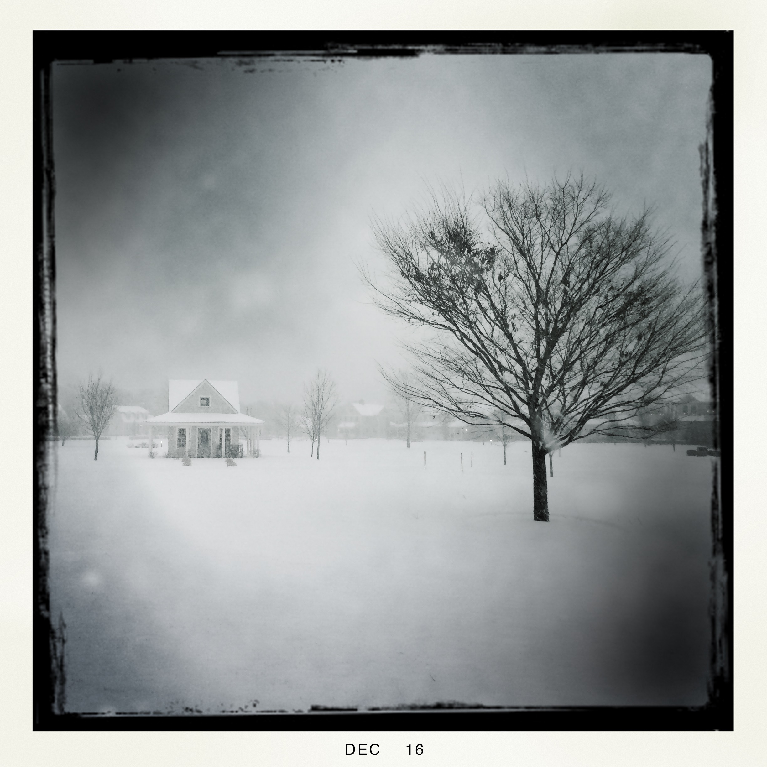 The Hammocks in winter