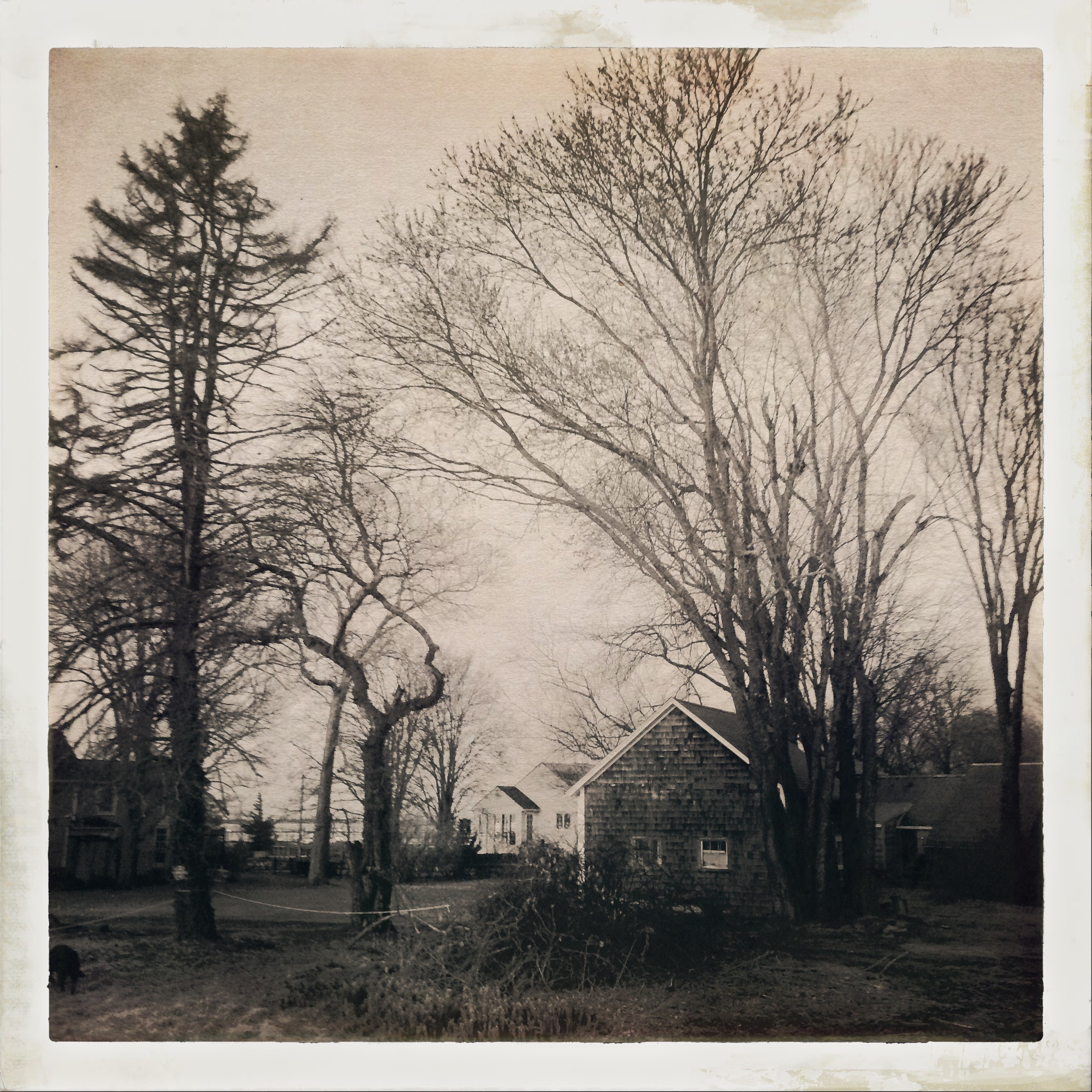 2016-12-25-07-00-54-1