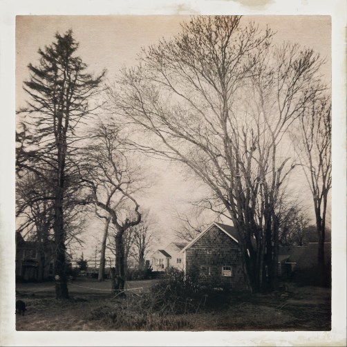 2016-12-25-07-00-54-1