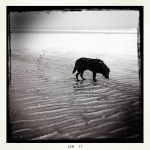 2017-01-07-12-24-16-1