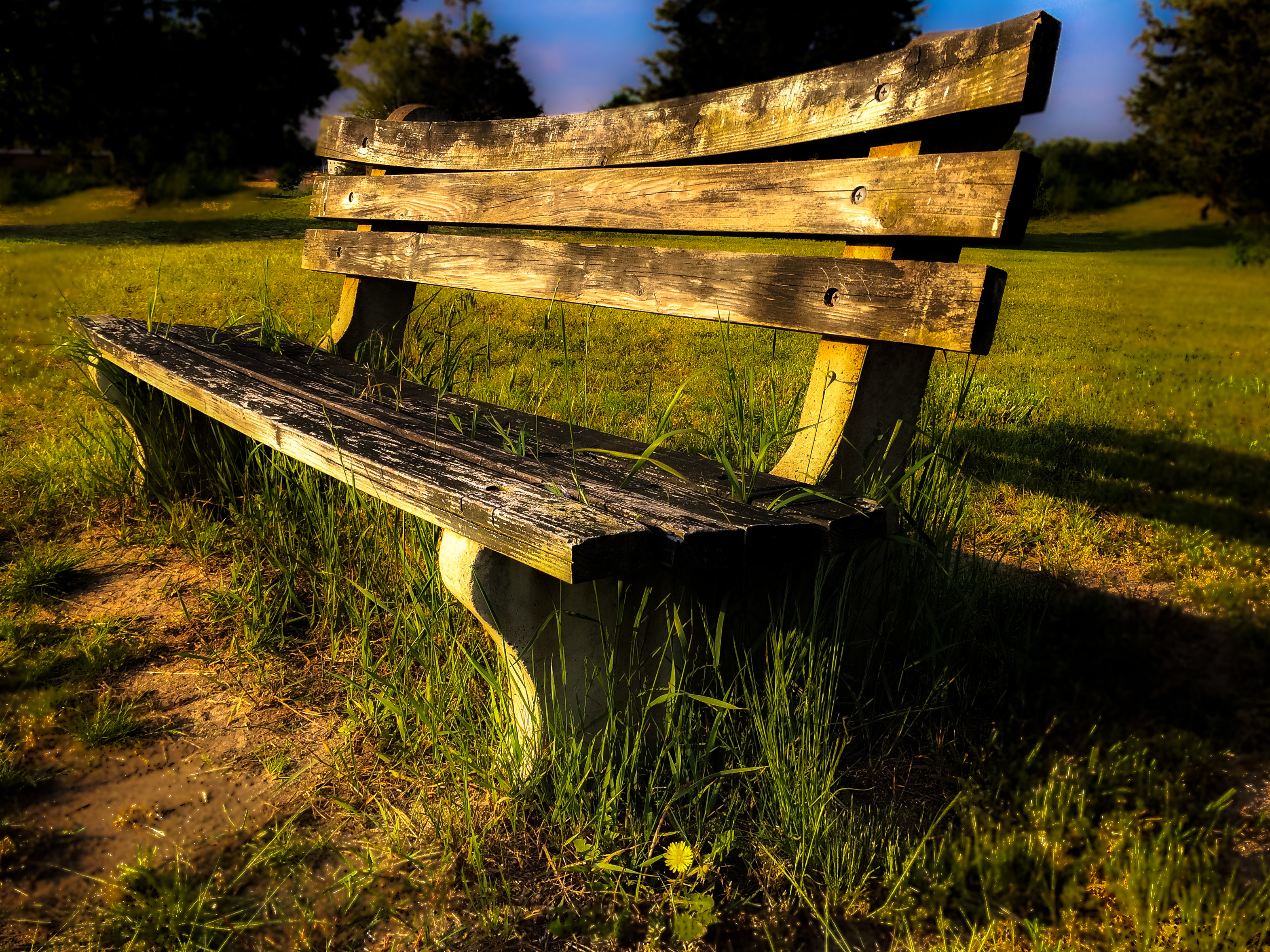 bench in sunset light