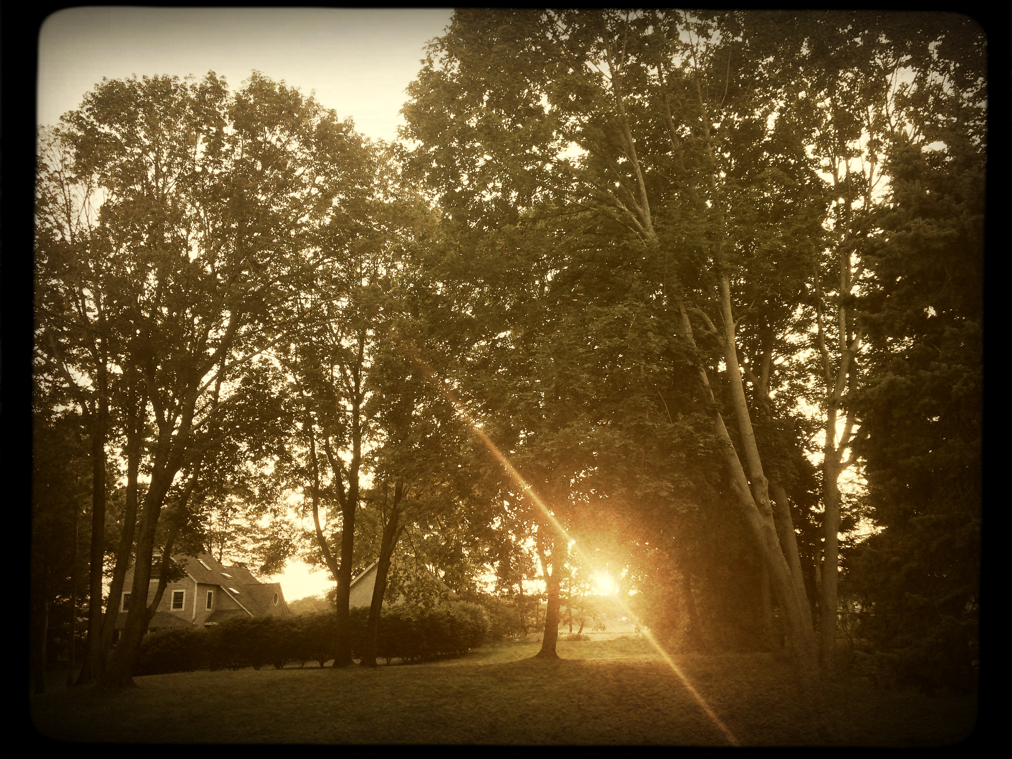 2017-08-24 19.20.21-1