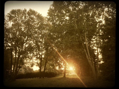 2017-08-24 19.20.21-1