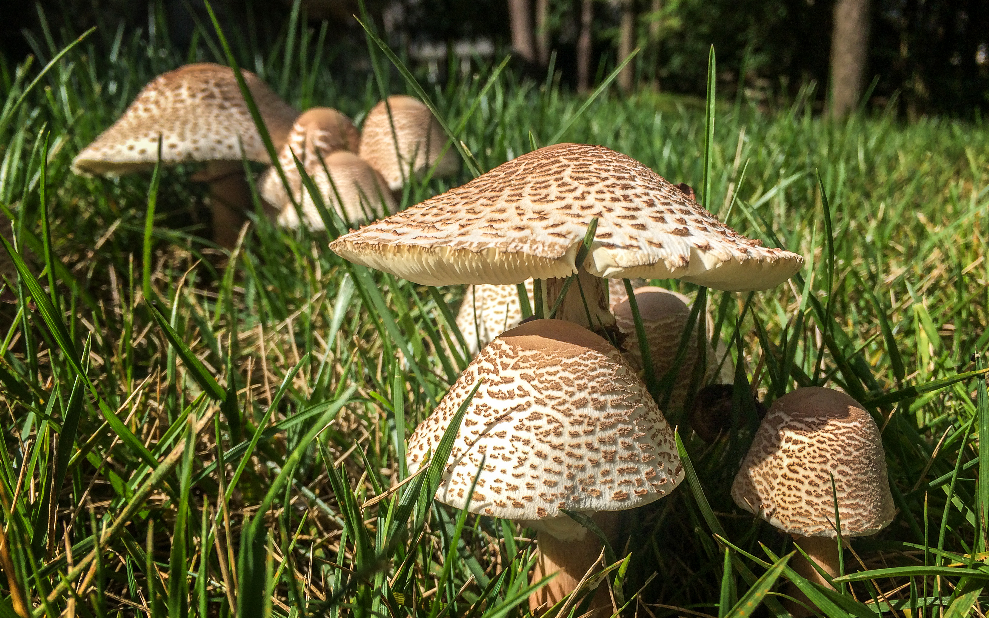 2017-09-09 10.41.27-Edit