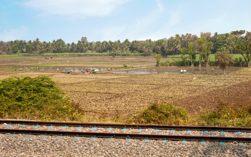 India farmland