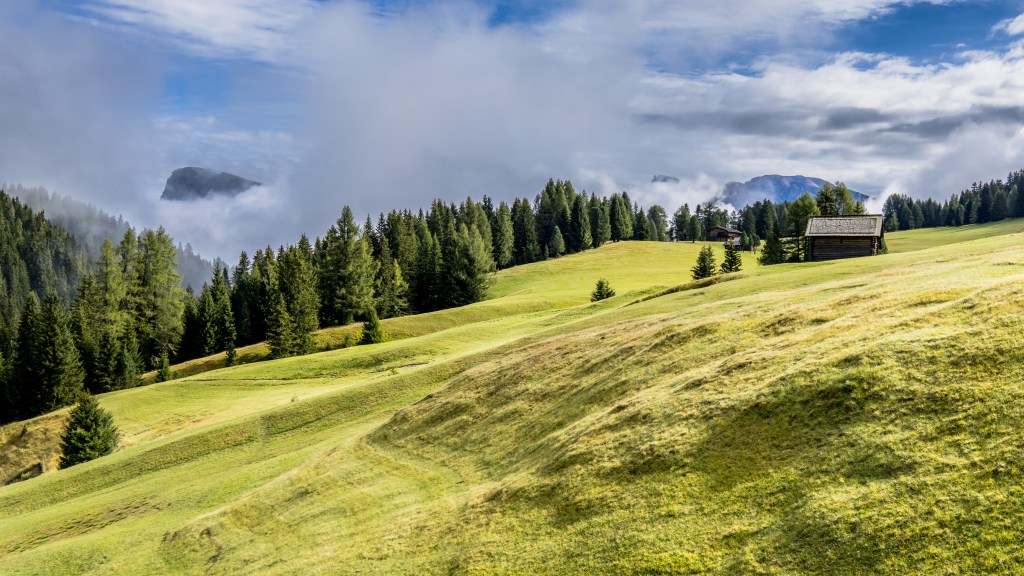 green alpine meadow with mountains in the background